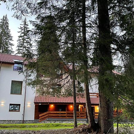 Sidharta Resort Obarsia-Lotrului Exterior photo